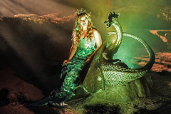 BANNER-Mermaid-1300-x-700-pixels