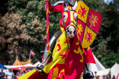 Events-Page-Jousting-image